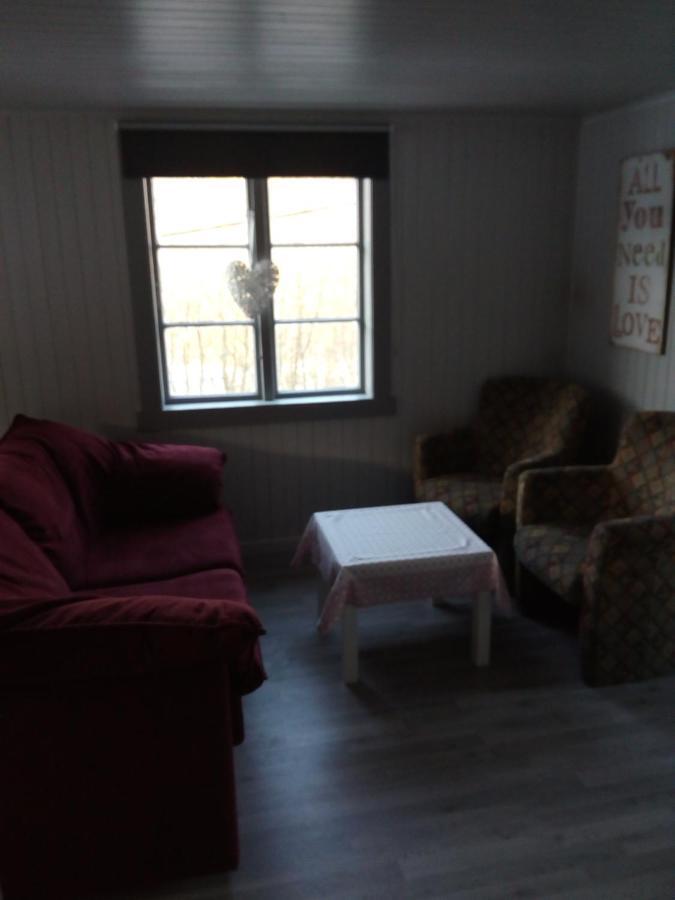 Villa Mountain View House à Isfjorden Extérieur photo