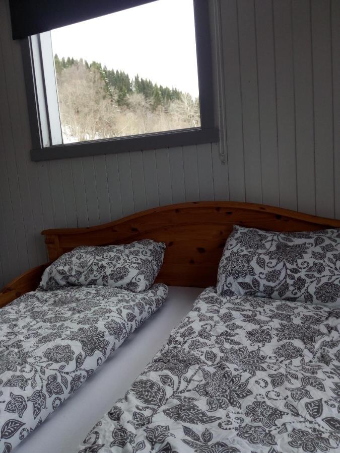 Villa Mountain View House à Isfjorden Extérieur photo